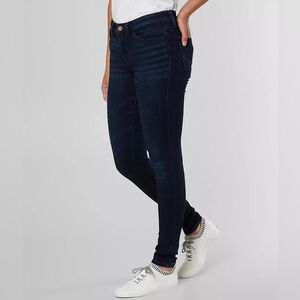 BKE BY BUCKLE denim Stella Skinny Jean size 27R